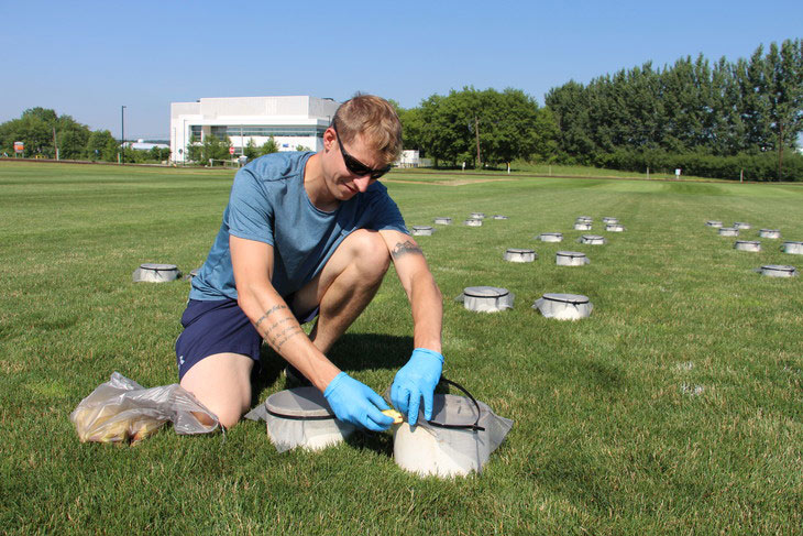 Insecticide efficacy in turfgrass focus of Penn State study Imidacloprid research