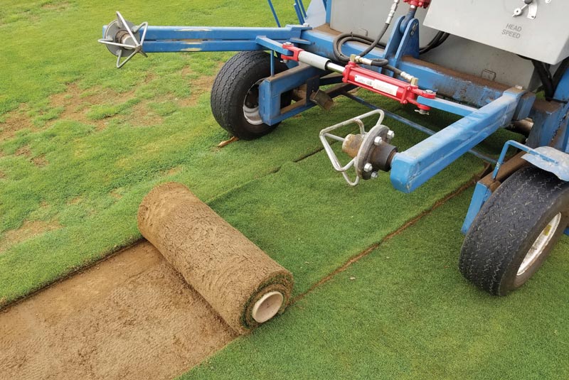 Golf course greens renovation advice Installing new sod