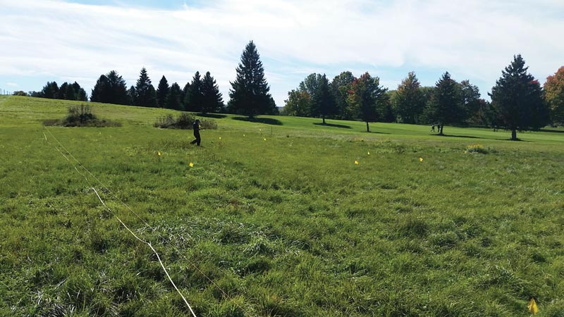 Annual bluegrass weevil overwintering in golf course natural areas Robert Trent Jones Golf Course