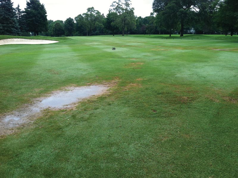 Golf course greens renovation advice Tired golf course