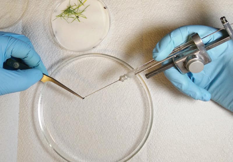 ABW research
