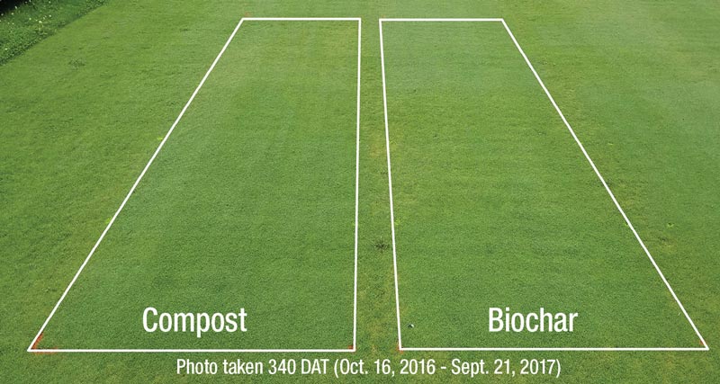 Effects of organic amendments on dollar spot Compost biochar dollar spot