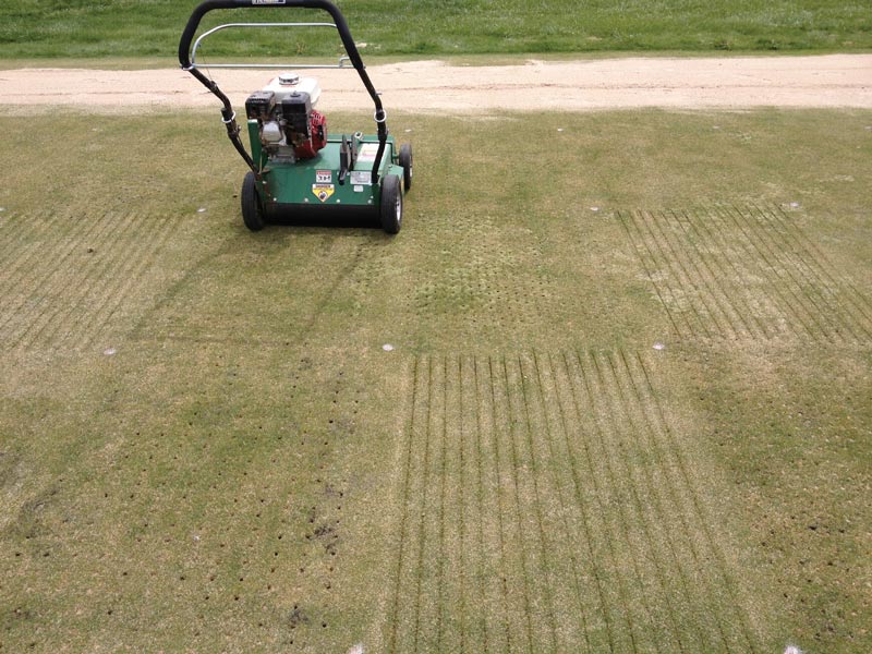 Silvery-thread moss infestation in greens Creeping bentgrass aerification