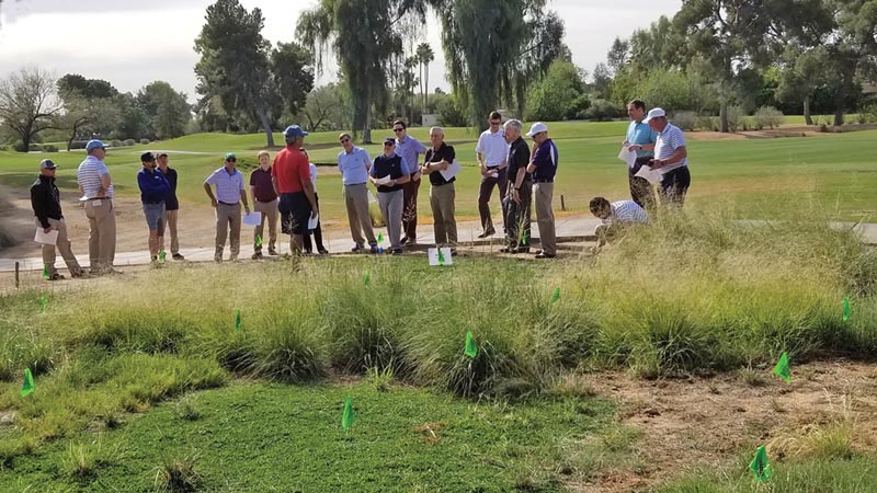 Grass research plots