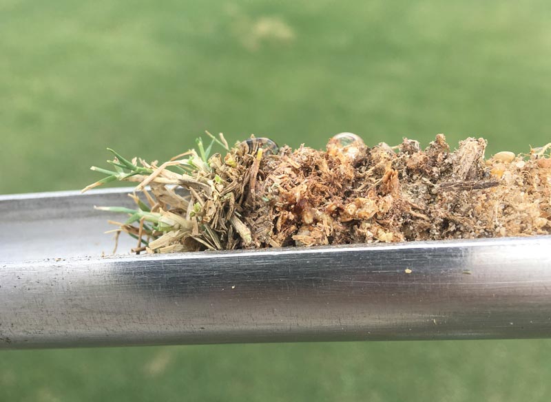 Sand-capped fairways: Long-term dynamics and management requirements Sand capping research
