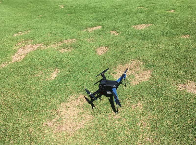 Spring dead spot: Site-specific management Spring dead spot drone