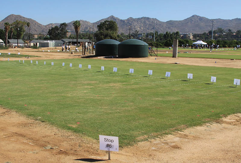 Products for alleviating irrigation salinity stress on turfgrass Turf salinity study