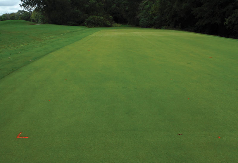 Evaluating biological thatch control in turfgrass Diamond zoysia green