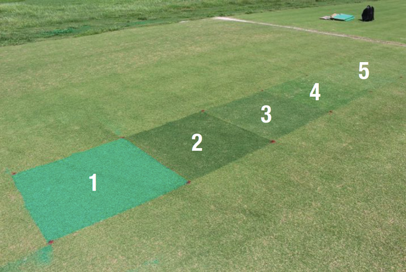 Just passing through: Turf colorants and light transmission Golf turf colorants