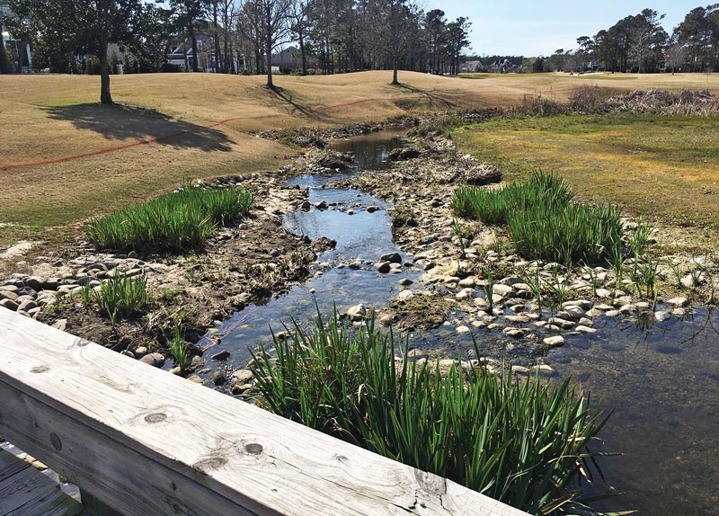 Pesticide phytoremediation by native plants Pesticide phytoremediation