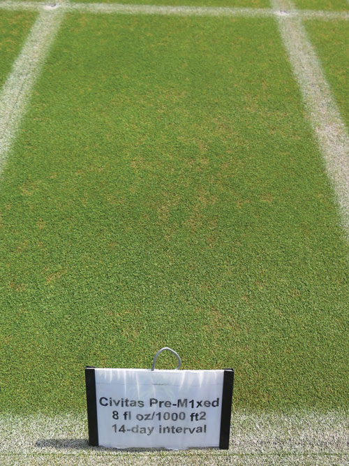 Dollar spot: Evaluating biological and oil-based fungicides Dollar spot products