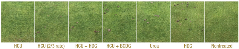Humic fertilizer effects on soil, turf health Humic fertilizers turfgrass