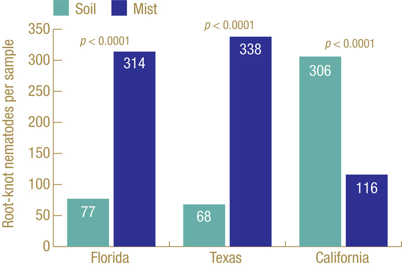 Nematode diagnosis turf