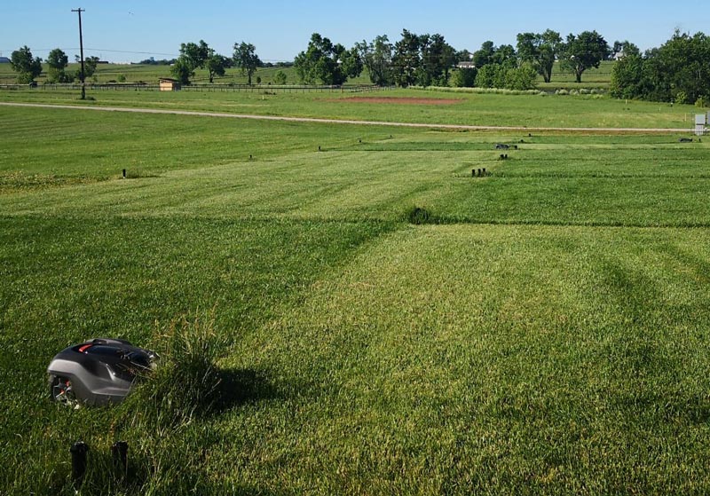 Robotic mowers and turfgrass cut quality Robotic mower golf course