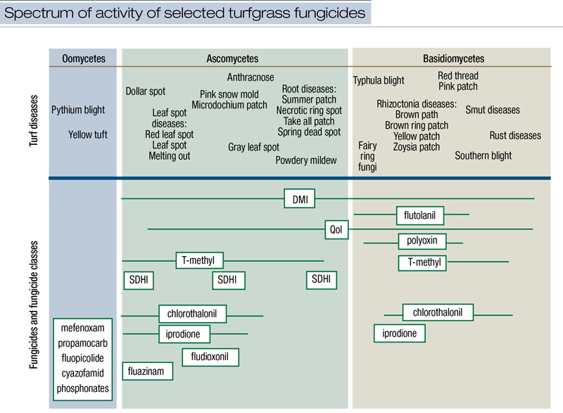 Combination fungicides for improved turfgrass disease control Turfgrass fungicides for diseases