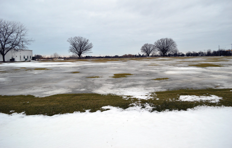 Turfgrass ice encasement
