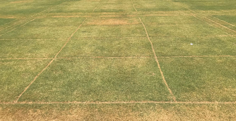 Wetting agents for water conservation Wetting agents water conservation