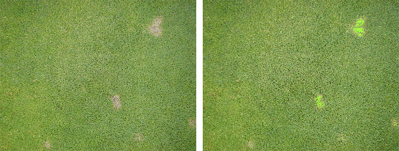 Aerial view of Ghost Creek golf course