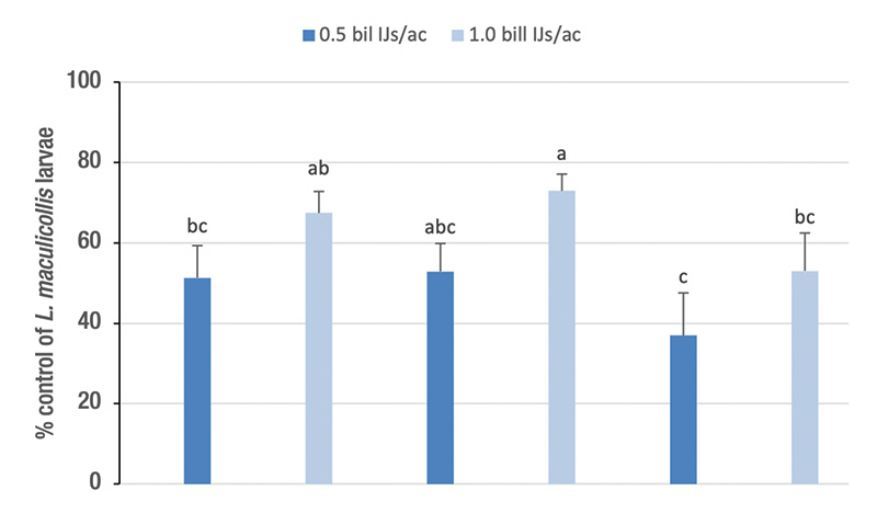 Aerial view of Ghost Creek golf course