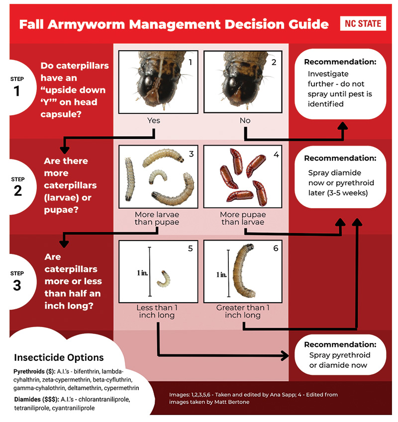 Aerial view of Ghost Creek golf course