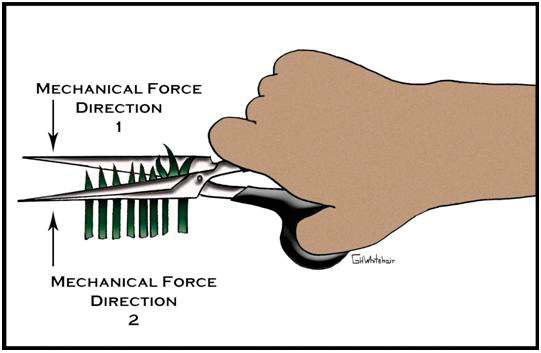 Reel mowers: Scythe or scissors? Scissors mower