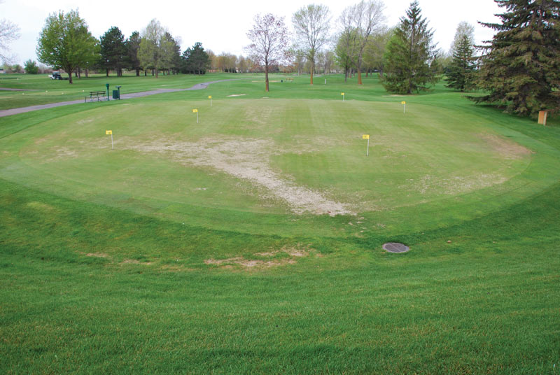 Turfgrass winter injury