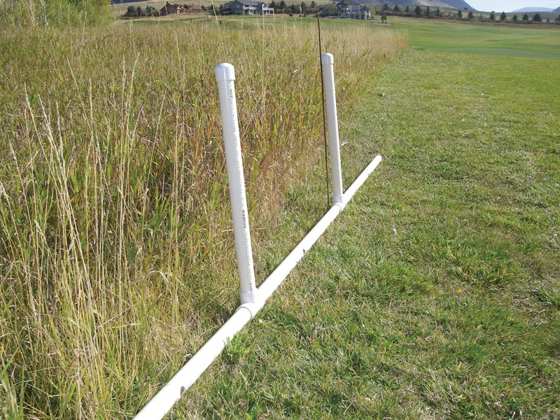 Vole control golf course