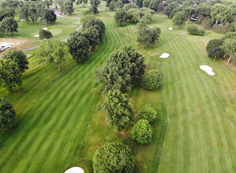 Summer turf stress: Redefining ordinary Bayer Stressgard