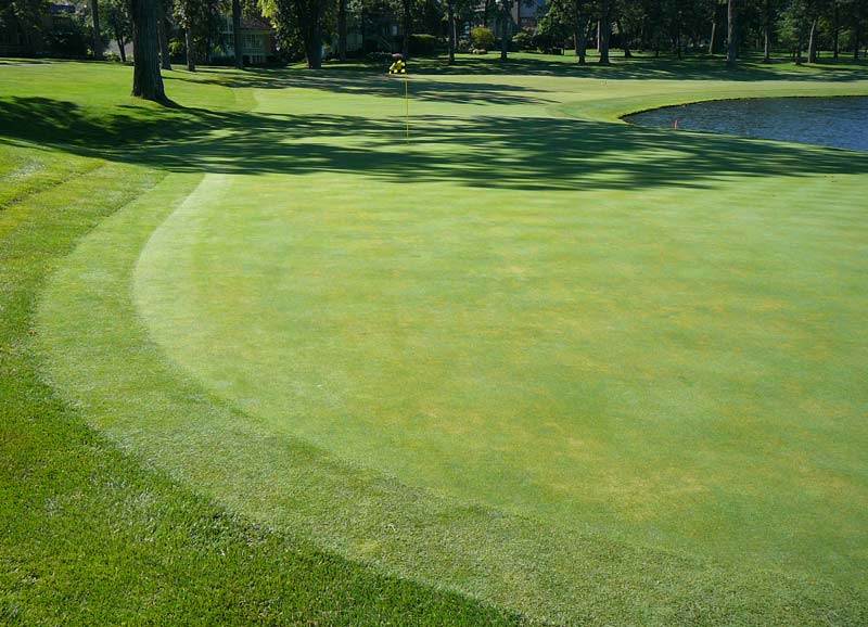 Summer turf stress: Redefining ordinary Summer turf stress