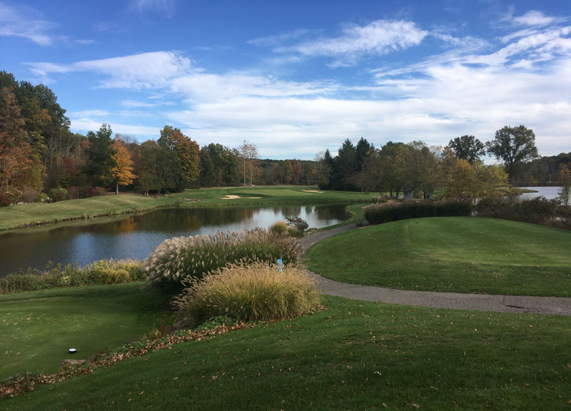 Goodbye Poa annua, hello bentgrass The Sharon Golf Club
