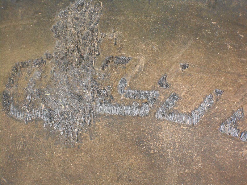 Photo Quiz: Tire wall damage, unusual visitors Tire wall damage