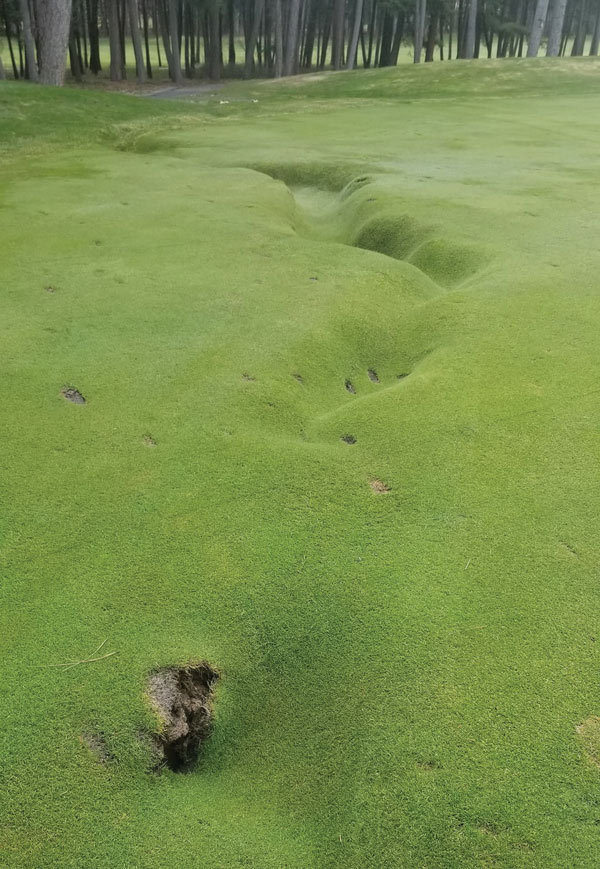 Photo Quiz: Uneven fairway, sizable snow pile Uneven fairway turf