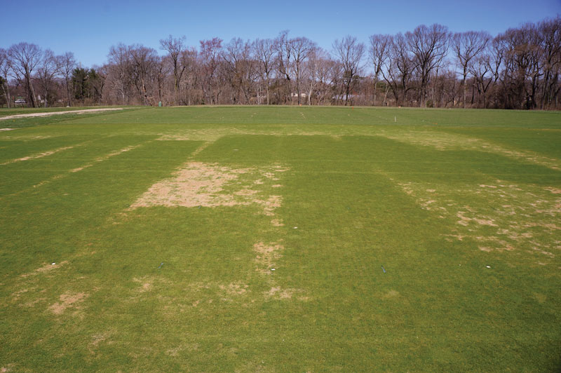 Potassium and turfgrass stress Potassium effects turfgrass