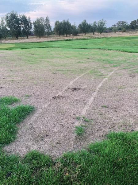 Golf course tee lines