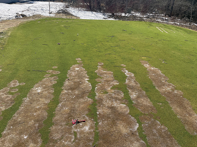 Golf course fairway with a small patch of faded, dark staining material near the bottom of the photo. strange brown marks on golf course
