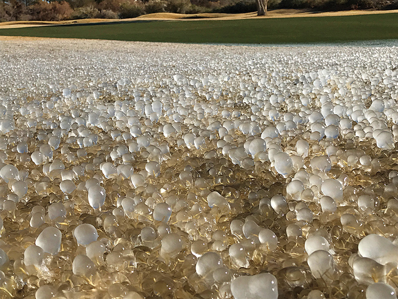 Photo Quiz: Flood remnants, tan patches on green strange brown marks on golf course