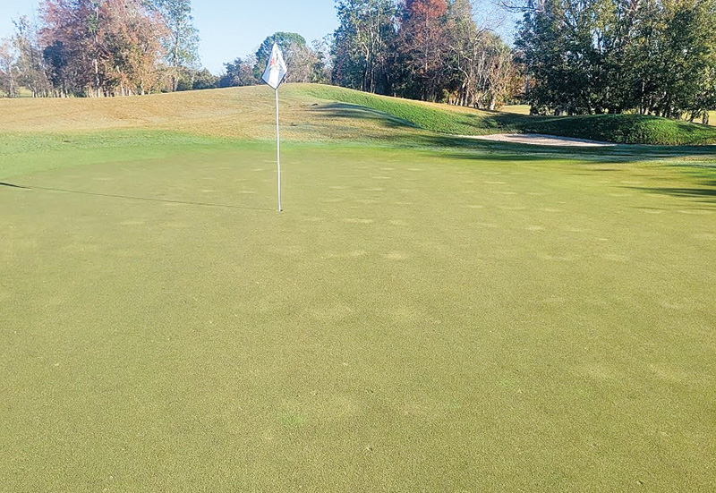A patch of brown turf on a practice putting green A patch of brown turf on a practice putting green