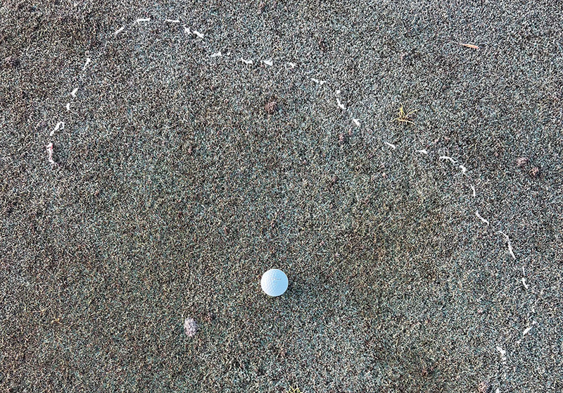 Image of a small pile of pale material next to a putting green collar. Image of a small pile of pale material next to a putting green collar.