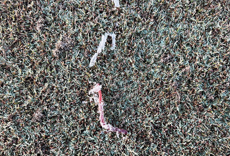 Image of a small pile of pale material next to a putting green collar. Image of a small pile of pale material next to a putting green collar.