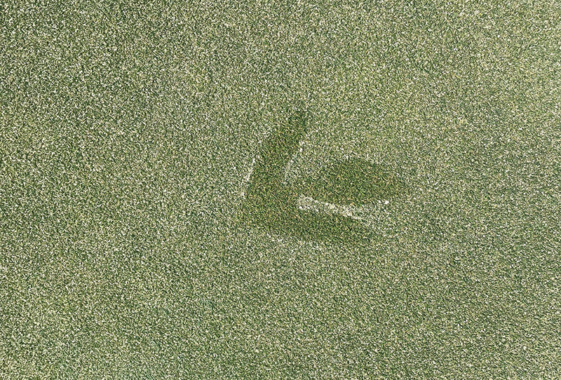 A patch of sprayed turf with a leaf shape on it A patch of brown turf on a practice putting green