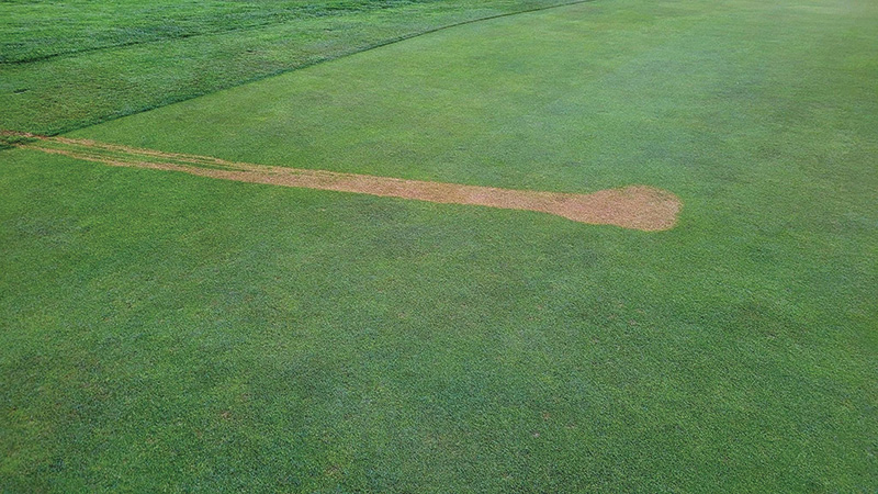 A patch of brown turf on a practice putting green A patch of brown turf on a practice putting green