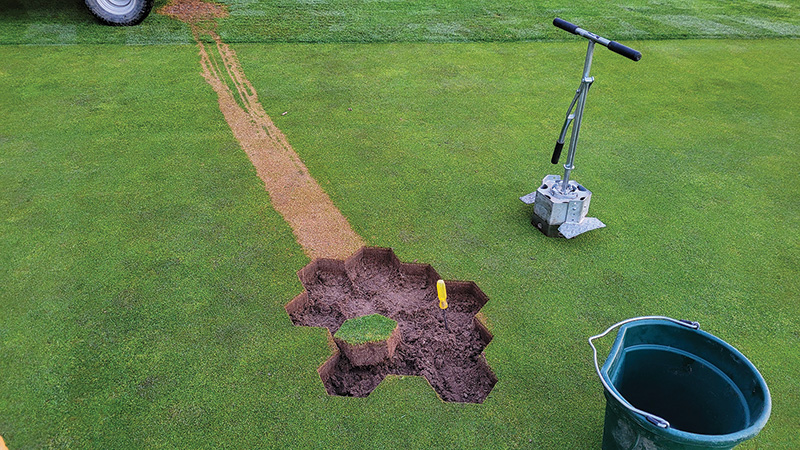Turf with greens and dead patches in parallel lines SeaDwarf paspalum putting green