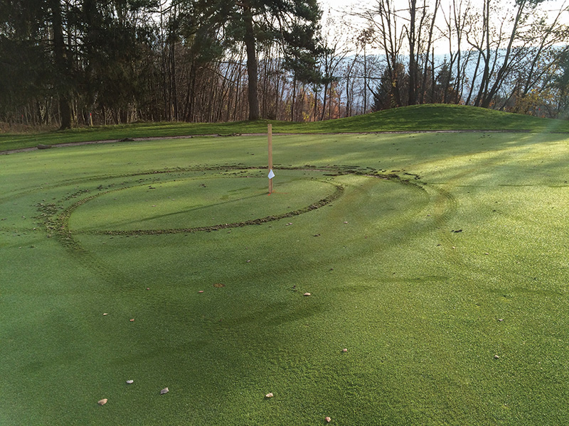 Image of a small pile of pale material next to a putting green collar. Image of a small pile of pale material next to a putting green collar.
